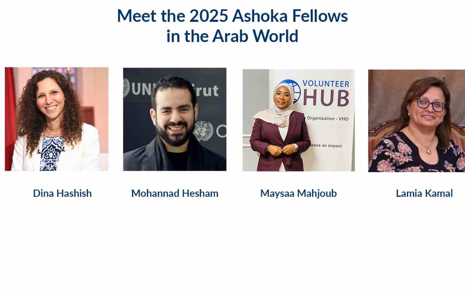 Meeet-the-new-fellows