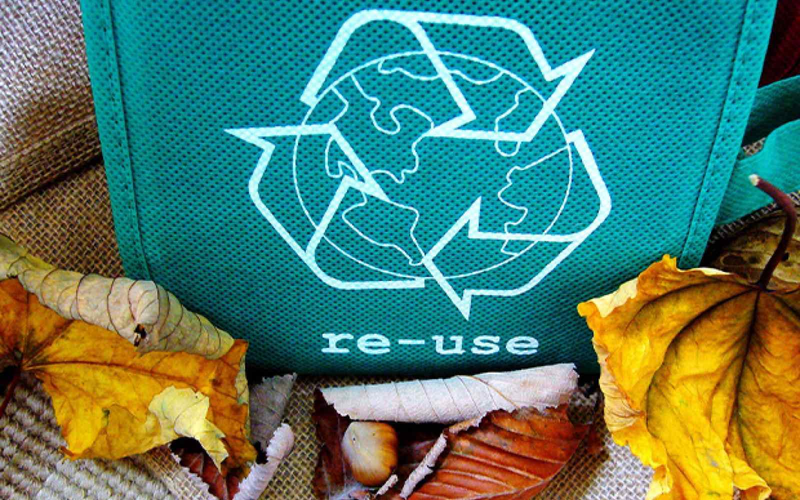 Image of a reusable light blue / green bag that has a recycling symbol on it with a world in the middle