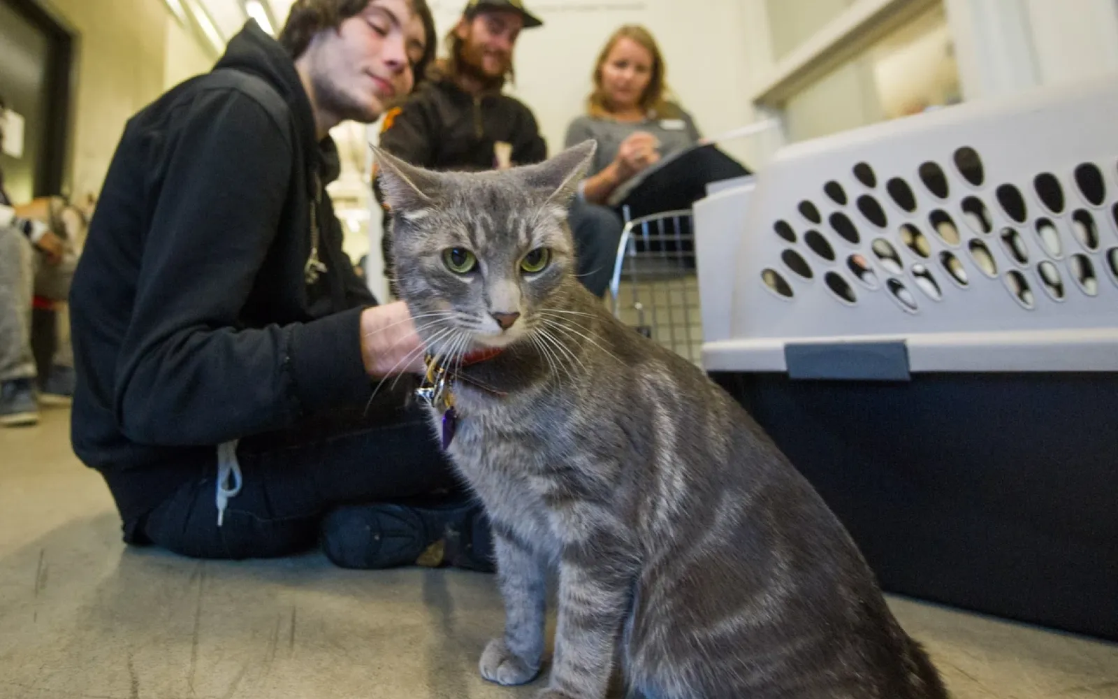 Photo of cat and owner waiting on the floor of a waiting room at Michelle Lem's One Health Clinic in Vancouver