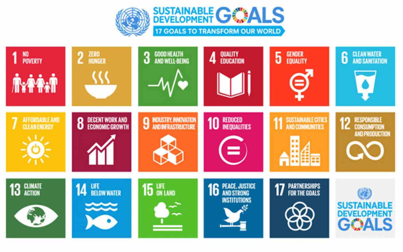 Sustainable Development Goals - Hero