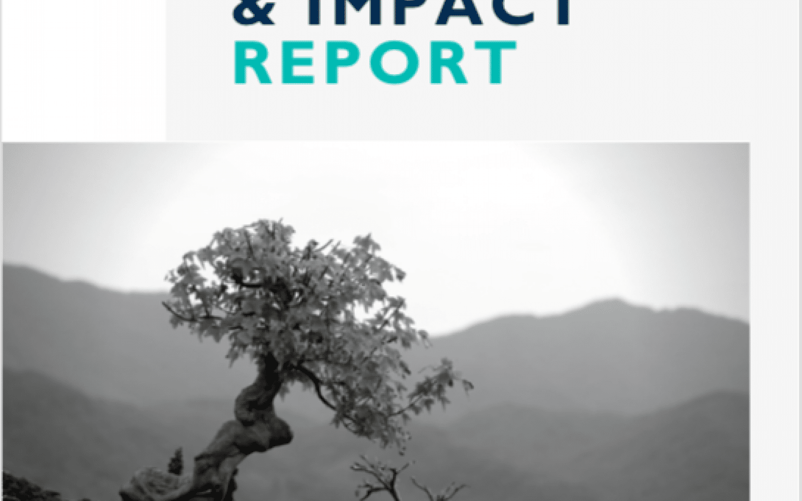 scandinavia impact & community report