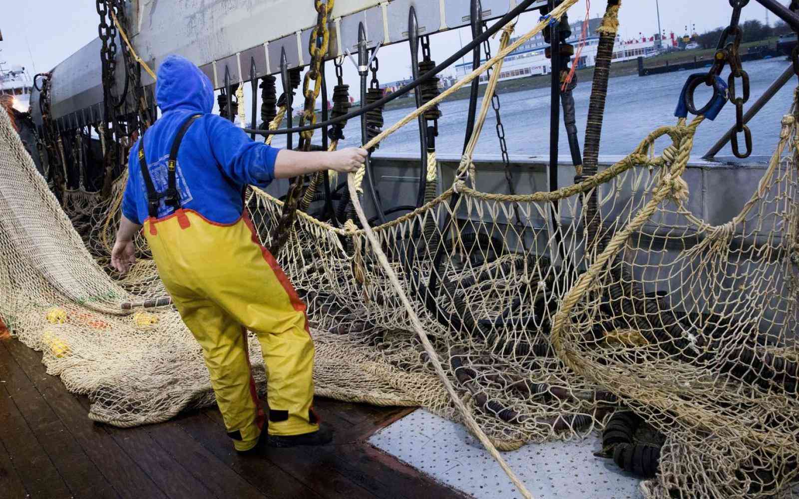 Interdiction de la pêche électrique - "Une grande victoire" pour Claire Nouvian