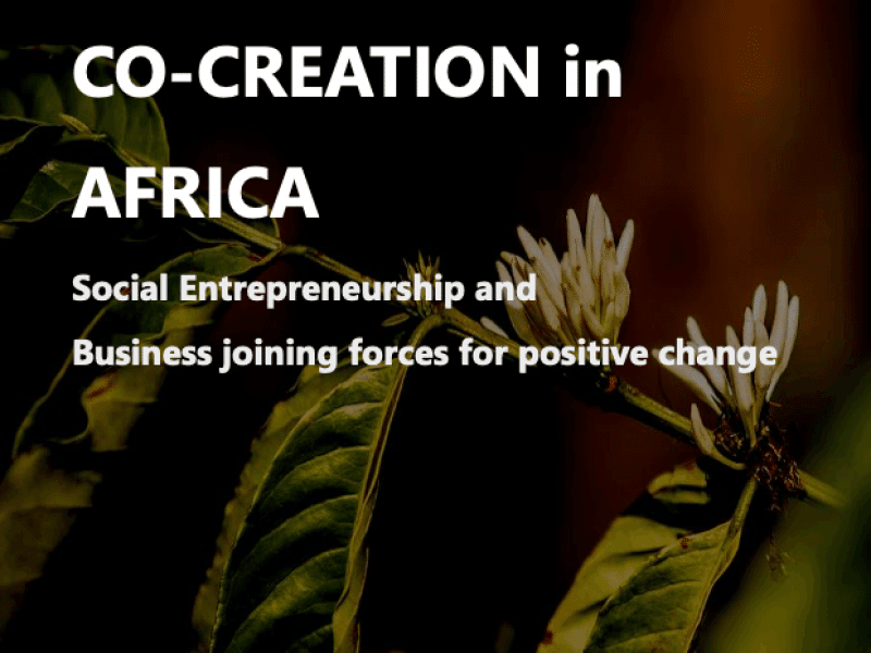 Social and Business Co-Creation in Africa