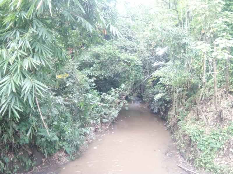 River in Pakisaji, Malang