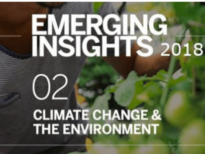 Emerging Insights 2018