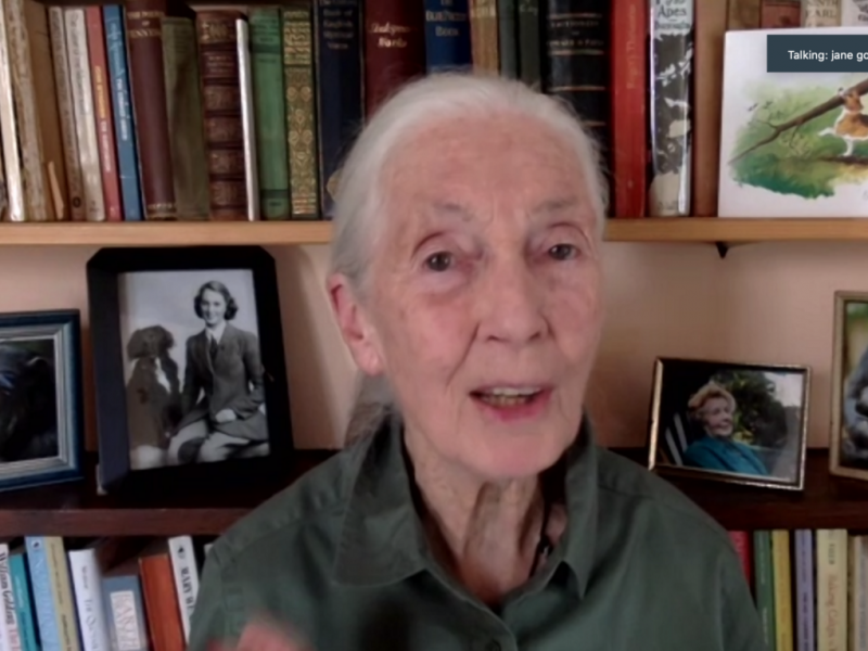 Dr. Jane Goodall Remarks