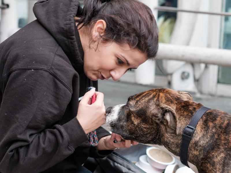 Street Vet founder Jade Statt cares for a homeless person's dog