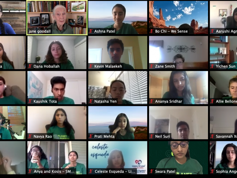 Changemaking Virtual Summit Zoom Call