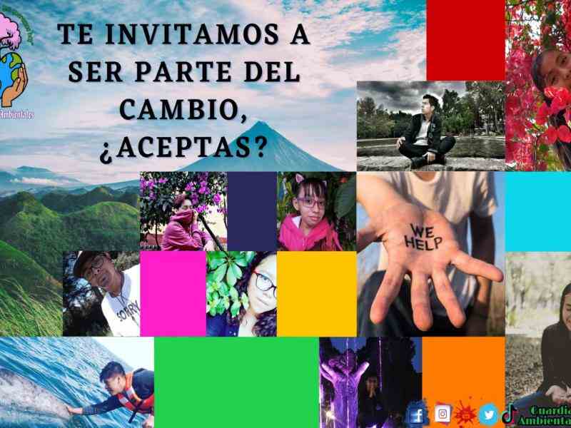 Jovenes