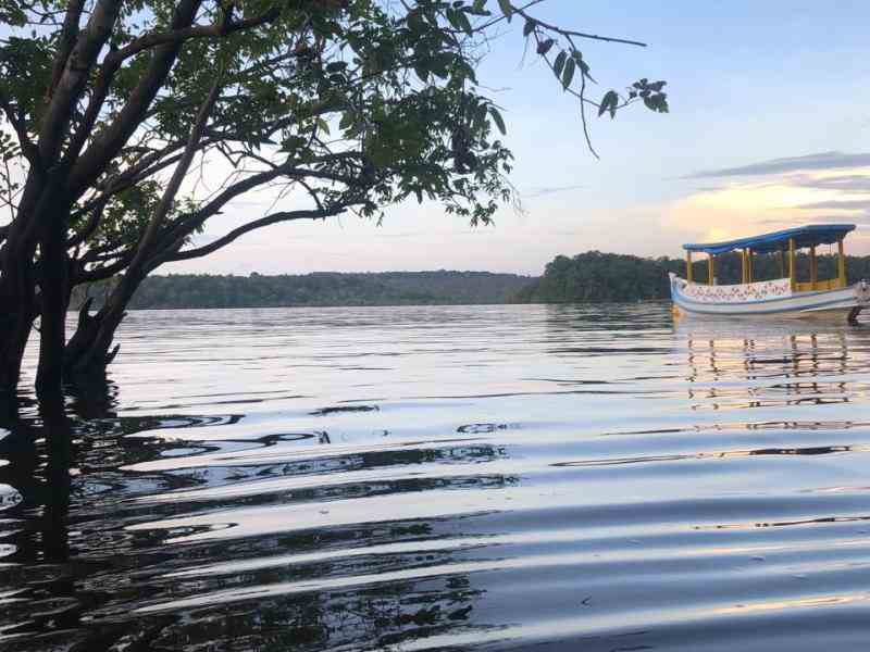 Barco navegando pelo rio. A paisagem também é composta por árvores e floresta