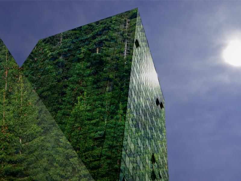 blooming building