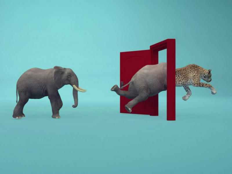 Innovazione per il cambiamento: una strada percorribile, se sai come farlo