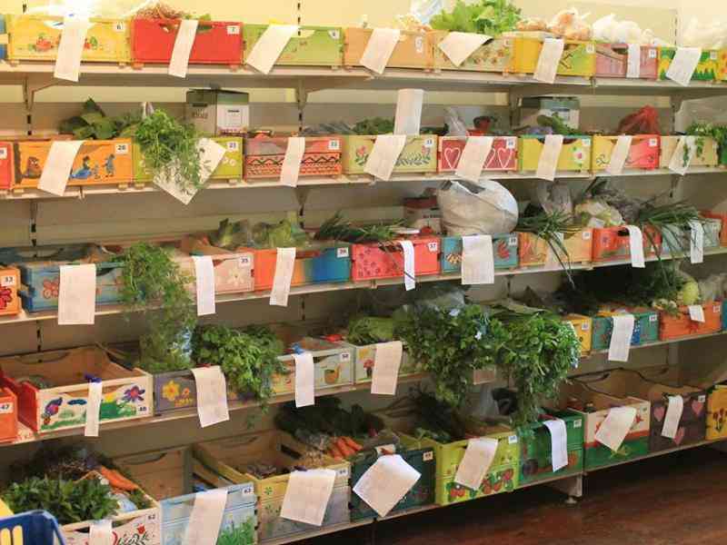 agriculture