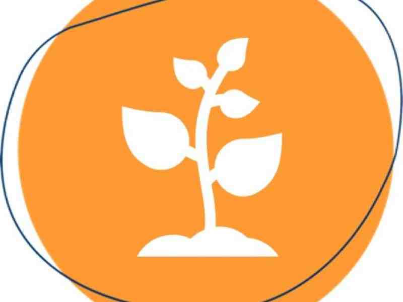 Icon - Symbol Growth