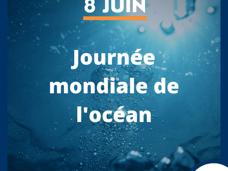 8 juin Journée mondiale de l'océan