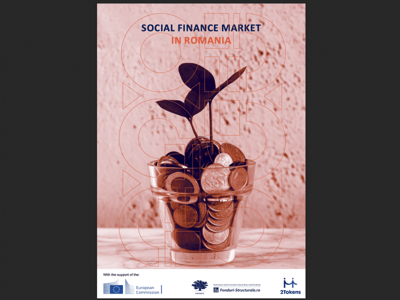 Cover of social finance report in Romania - plant vase with money in it 