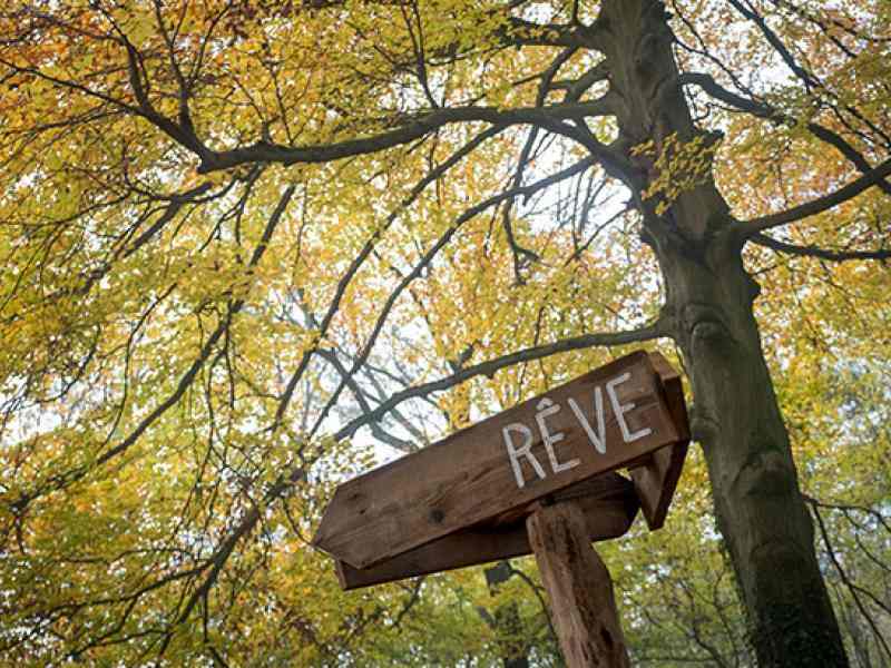 arbre et panneau rêve