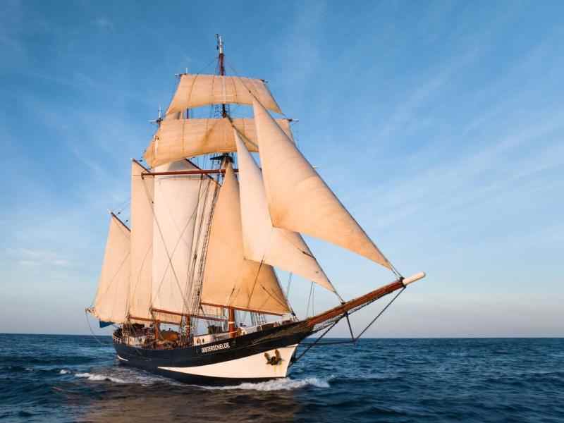 Veleiro Oosterschelde navegando