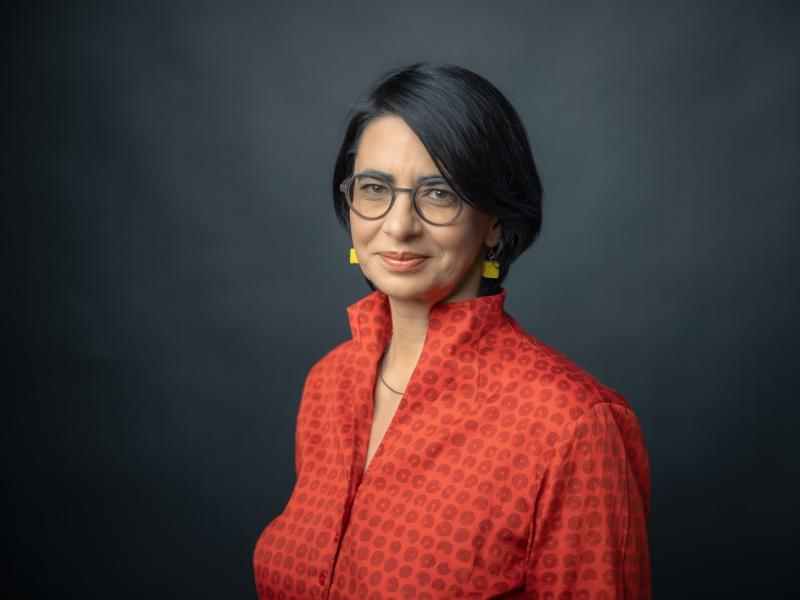 Vera Marin, Asoka Fellow Romania
