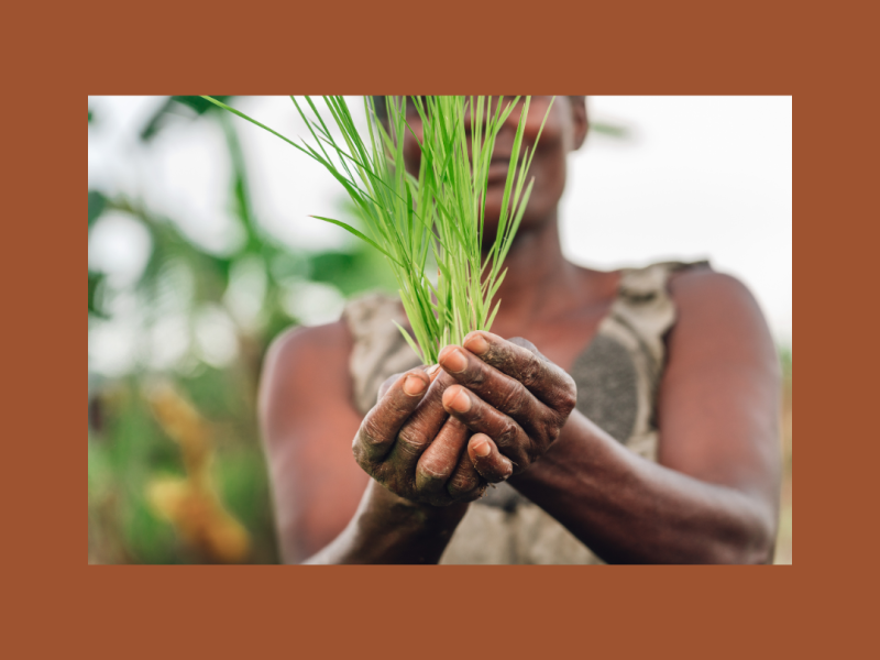 Improving Livelihoods 2.