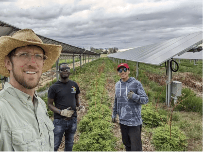 Ashoka Fellow Byron Kominek on his family farm with two agricultural workers. They are standing in a field of crops, that have solar panels raised on top of them.
