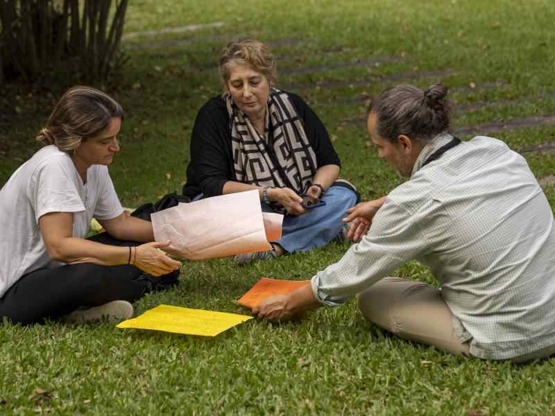 Fellows planificando