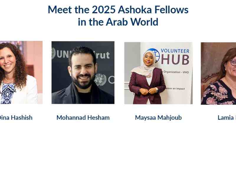 Meeet-the-new-fellows
