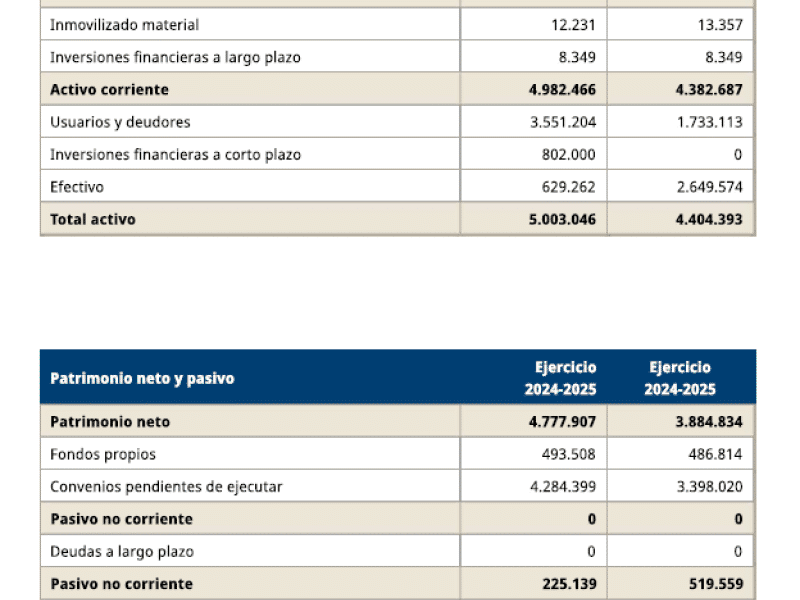 Tablas del balance de situación de los estados financieros de la actividad de Ashoka España y Portugal durante el 2024 y el 2025