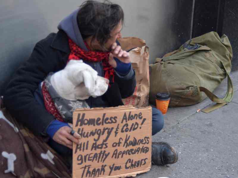Person with a dog sitting on the ground with a sign asking for money