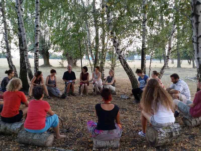 A group of people sitting in a large circle on a ground outside amont birch trees