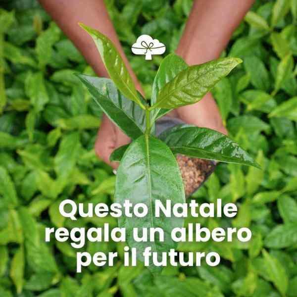 Treedom