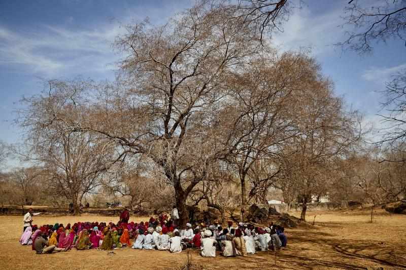 Group of people sitting under a leafless tree together