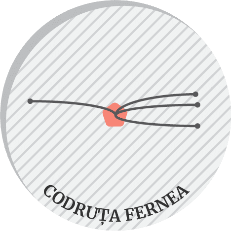 Codruta Fernea top innovator on environment in Romania