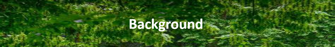 background_banner_tree.png